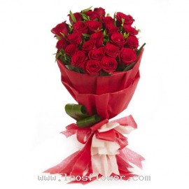 20 Red Roses